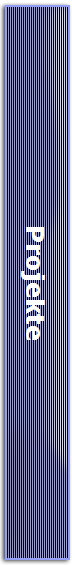 Projekte